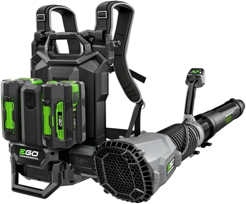 z1 14.webp z1 14.webp